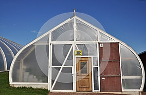 Greenhouse photo