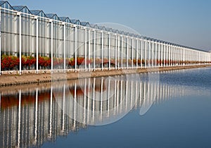 Greenhouse