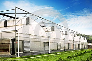 Greenhouse