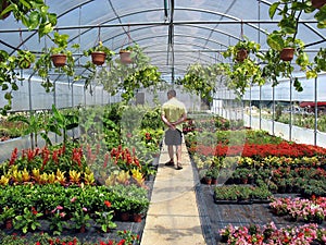 Greenhouse