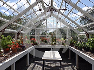 Greenhouse