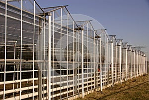 Greenhouse