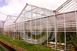 Greenhouse