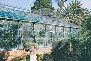 Greenhouse