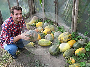 In the Greenhouse