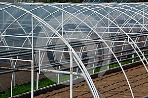 Greenhouse