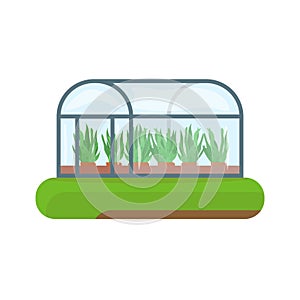 Greenhouse and agriculture