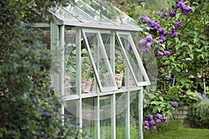 Greenhouse In Back Garden