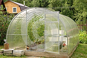 Greenhouse in the backyard with an open door. Growing tomatoes and cucumbers in the summer in your garden