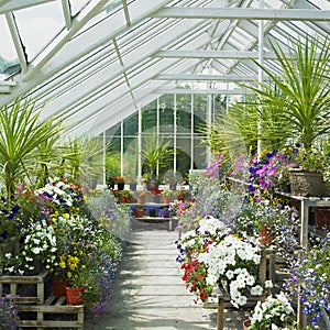 Greenhouse, Birr Castle Gardens, County Offaly, Ireland photo