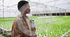 Greenhouse, black woman and documents with clipboard, agriculture and sustainability with inspection. African person