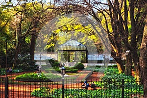 Greenhouse of the Botanical garden