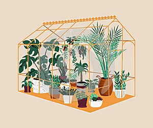 Greenhouse. Botanical house with exotic and home cultivated plants. Modern garden with decorative potted trees. Tropical