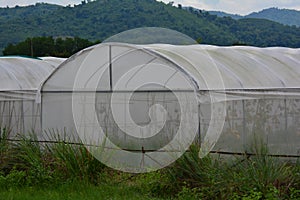 Greenhouse cloth. transparent outdoor covered cloth, waterproof