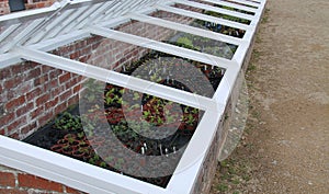 Greenhouse ColdFrame.