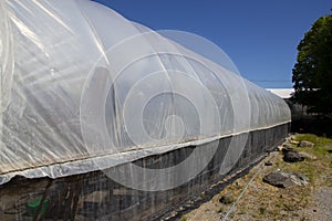 Greenhouse covered in plastic sheeting