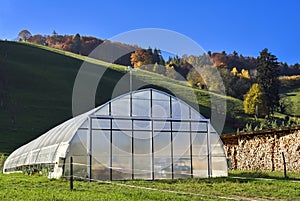 Greenhouse with cultivated fresh vegetables from Wavern.