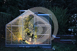 Greenhouse in the evening