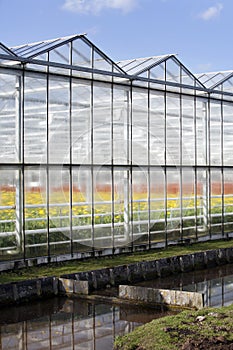Greenhouse exterior photo