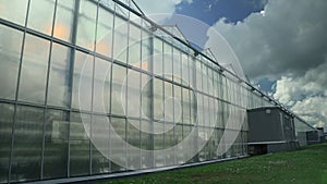 Greenhouse exterior Spbd. Big large outside hothouse agricultural hydroponic production. Motion shot