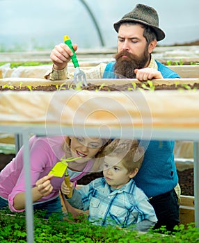 Greenhouse family. Green house structure factory, Happy people in Garden Greenhouses.