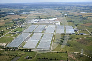 Greenhouse farm from birds view