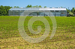 Greenhouse on a farm for food production. photo