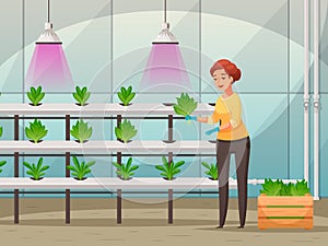 Greenhouse Farming Background Illustration