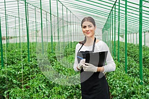 Greenhouse female inspector checking plants