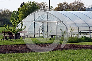 Greenhouse on the field