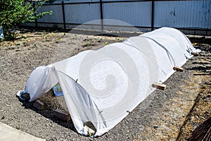 A greenhouse in the garden. Growing seedlings of vegetables in t