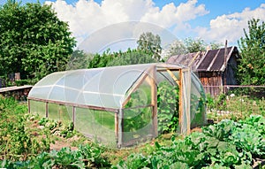 Greenhouse in garden summer