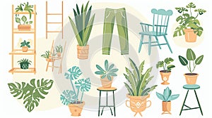 Greenhouse and gardening elements. pants in pot, wooden rack and chair, empty flowerpots. Glasshouse or conservatory