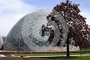 Greenhouse Glass Dome