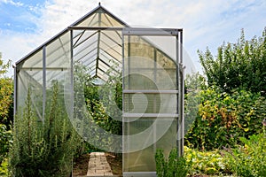 Greenhouse with green plants in a garden