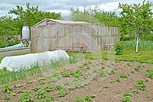 The greenhouse, hotbed and kitchen garden on the seasonal dacha. Spring