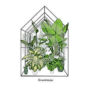 Greenhouse illustration on white background. flower house. Winter Garden. Gardening and truck farming concept. Exotic houseplant
