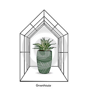 Greenhouse illustration on white background. flower house. Winter Garden. Gardening and truck farming concept. Exotic houseplant