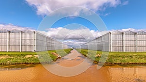 Greenhouse industrial exterior Netherlands