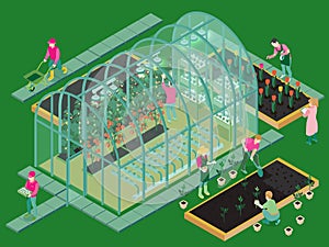 Greenhouse Isometric Composition