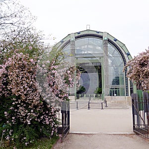 Greenhouse, Jardin des Plantes, Paris