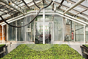 Greenhouse with microclimate control.