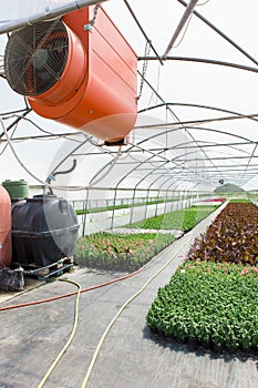 Greenhouse with microclimate control.