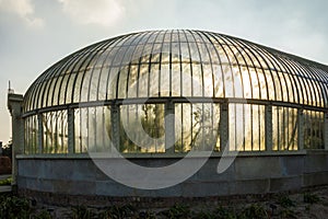 Greenhouse. National Botanic Gardens. Dublin. Ireland