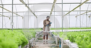 Greenhouse, nursery and woman in garden, clipboard and checklist for quality control, gardening and inspection. Gardener