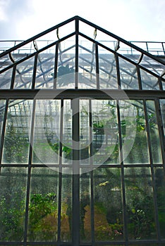 Greenhouse of the park de la tete d`or in lyon