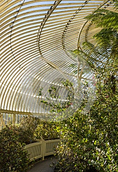Greenhouse with plants.