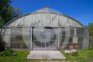 Greenhouse with plants in the summer garden