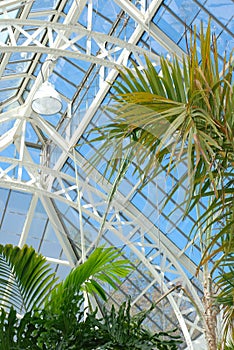 Greenhouse Roof