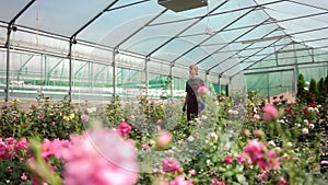 Greenhouse with roses in small business gardening